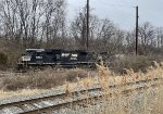 NS 6968 leading K40